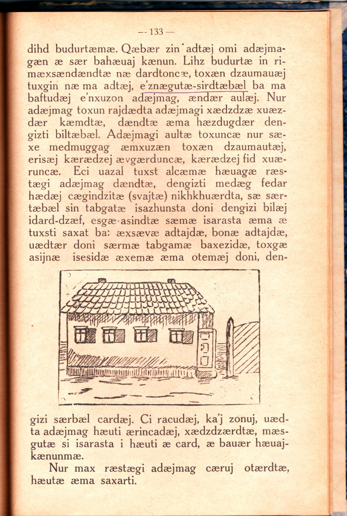 133.jpg