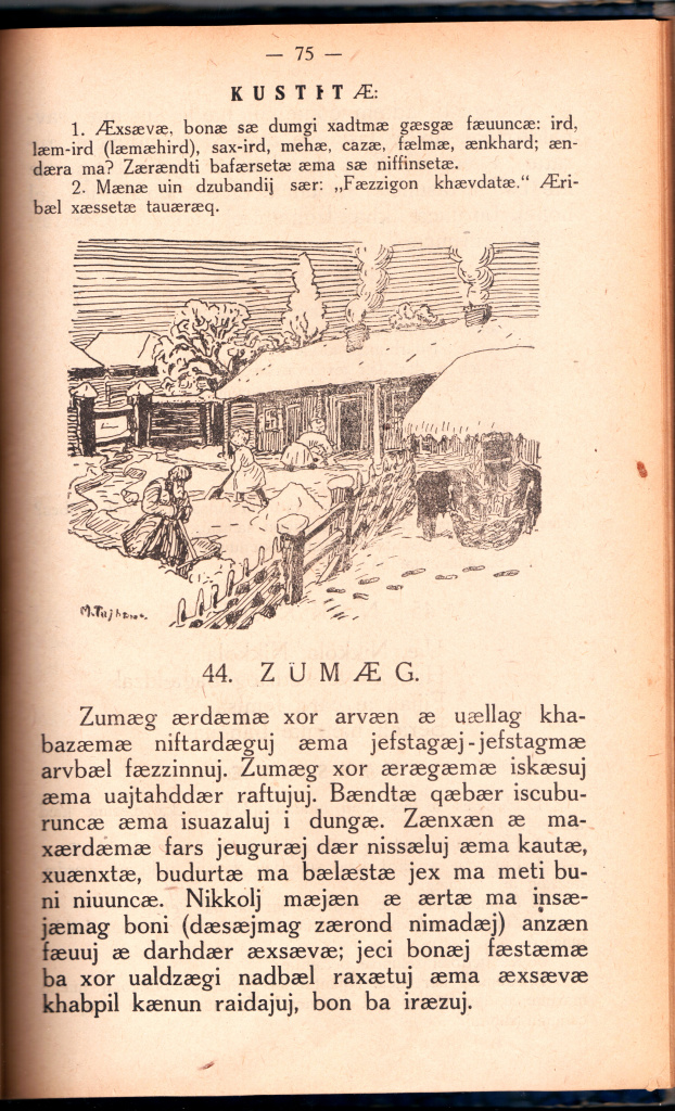 75.jpg