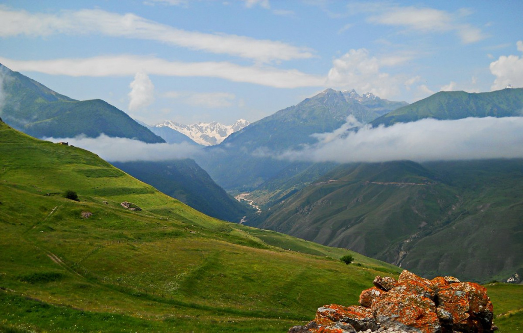 Дигоргомpg.jpg Дигоргомpg.jpg