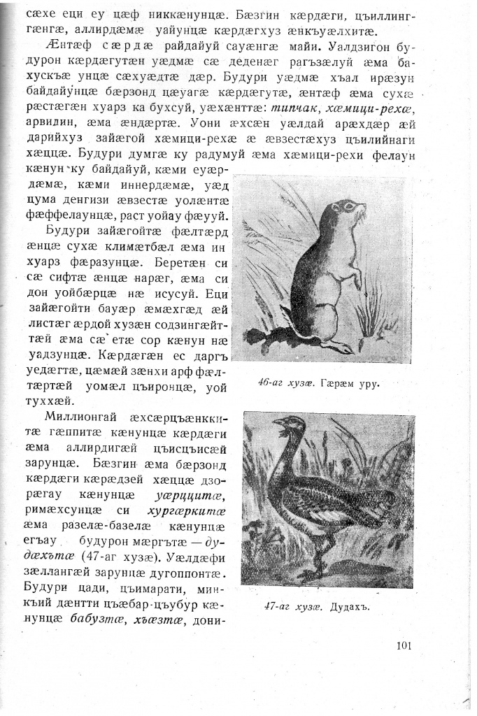 Геогр Витковский ДИГОРОНАУ (101).jpg Геогр Витковский ДИГОРОНАУ (101).jpg
