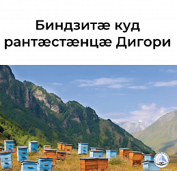  БИНДЗИТÆ КУД РАНТӔСТÆНЦÆ ДИГОРИ