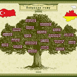 Турки бæсти Дигорон гъæу Пойрæзлы-"й" муггæгтæ
